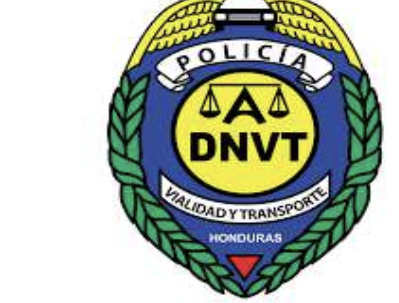 DNVT